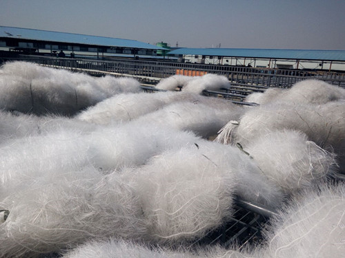 ̫���늳؏Sܛ�����ϰ��b